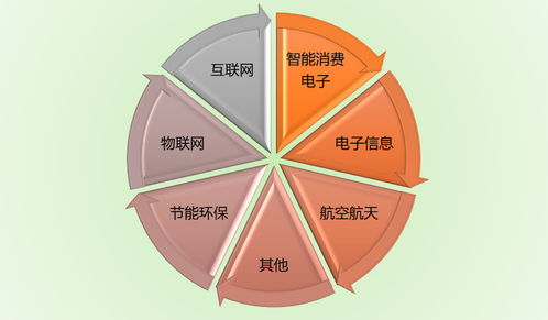 功能膜材料行業(yè)競爭格局與技術水平分析 附報告目錄